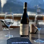 公寓式酒店 Moun10 Urlaubswohnen 加爾米施-帕滕基興